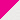 Festoon - Bright Pink